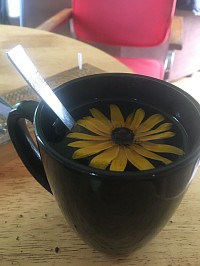 Rudbeckia/Maux de gorge/très méchant goût