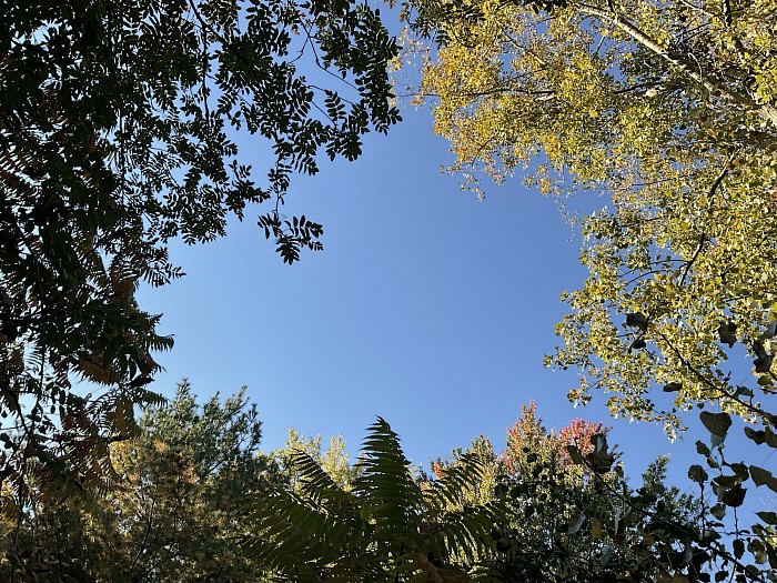 Ciel de Noyan