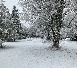 Sentier de neige 🛷