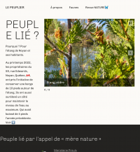 Le peuplier index