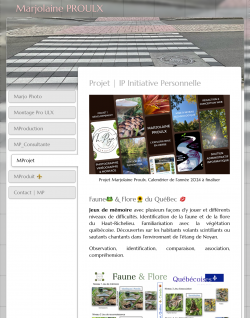 MProjet